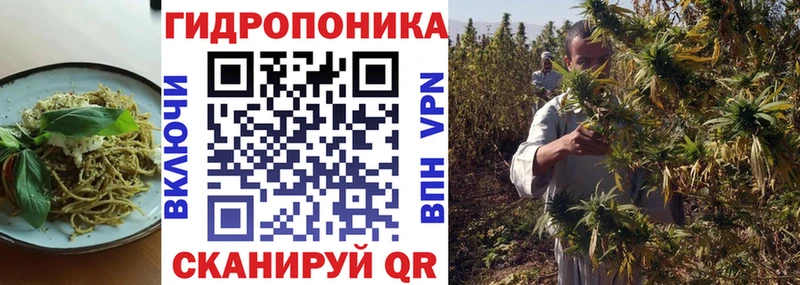 купить наркотики сайты  Вятские Поляны  Еда ТГК марихуана 